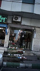 گلهای بابک