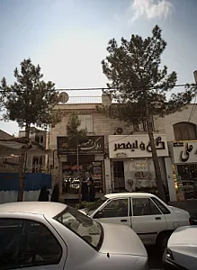 گل ولیعصر