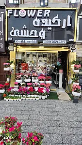 گل فروشی ارکیده وحشی (نوری)