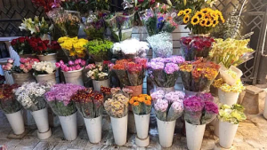 گل فروشی محمدی