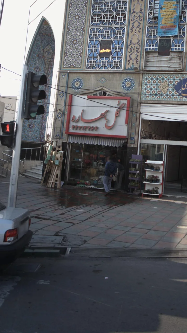 گل بهاره - تصویر 3