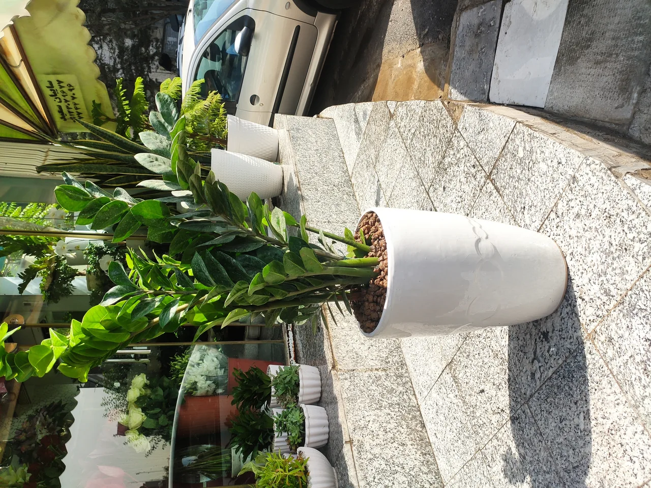 گل فروشی طبیعت سبز وی آی پی - تصویر 4