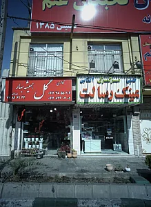 گالری گل همیشه بهار