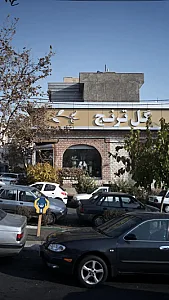 گل ترنج