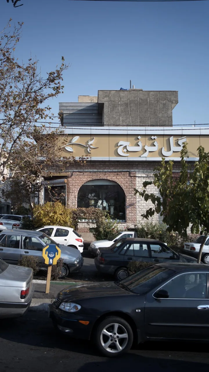 گل ترنج
