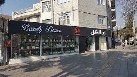 زیبا گل