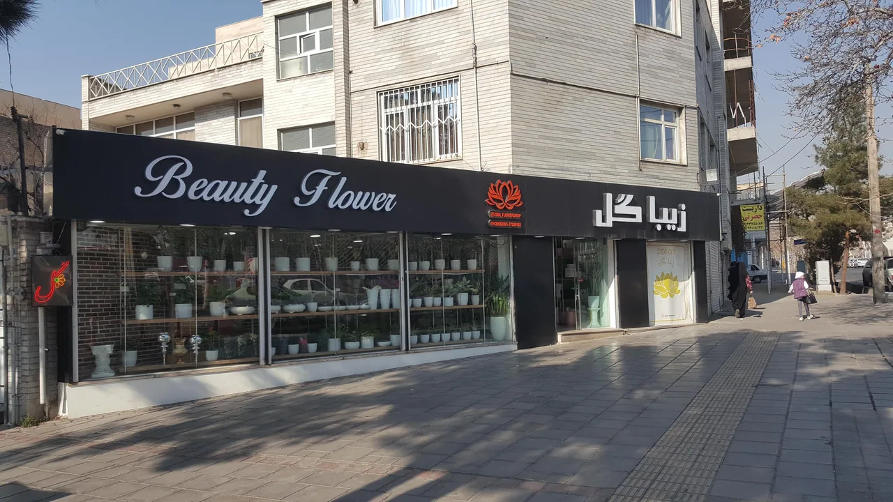زیبا گل
