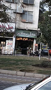 گل نرگس