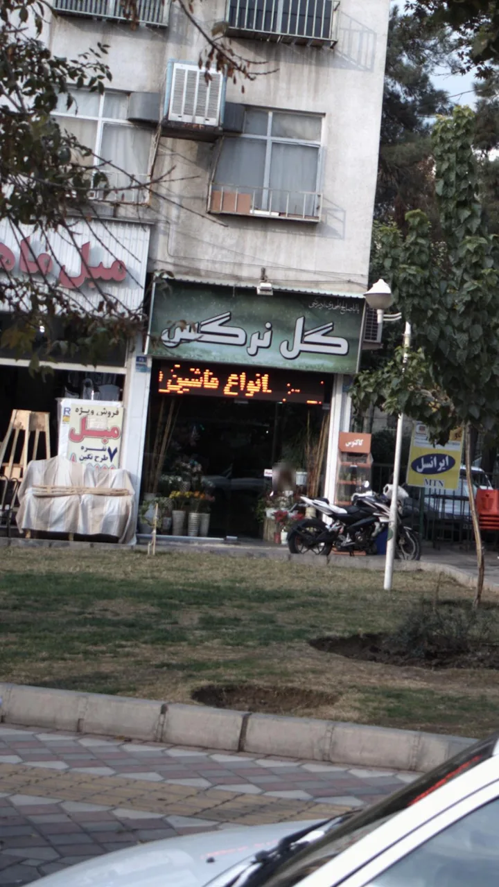 گل نرگس