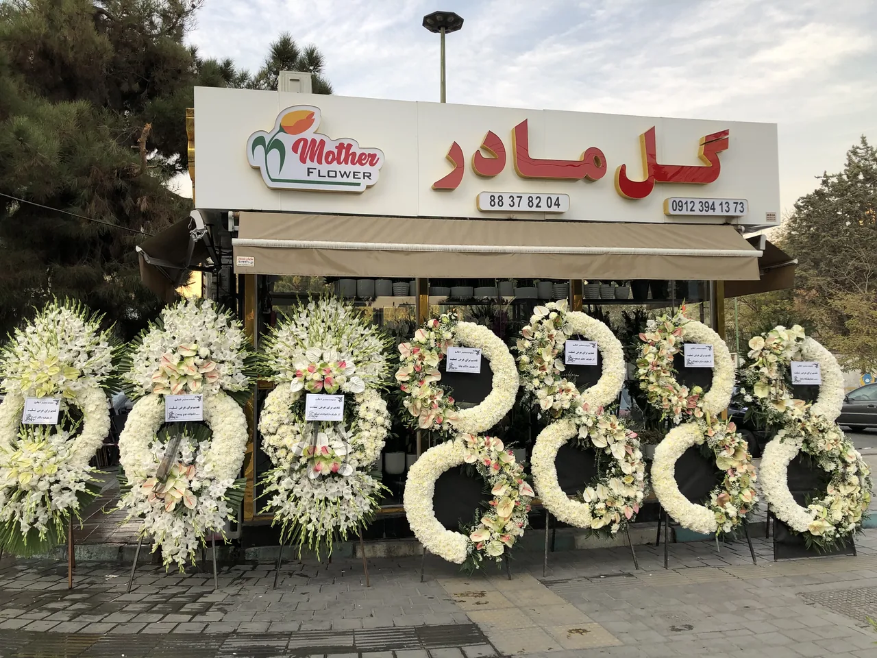 گل مادر