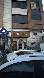 سایه گل