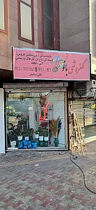 گلفروشی بانو