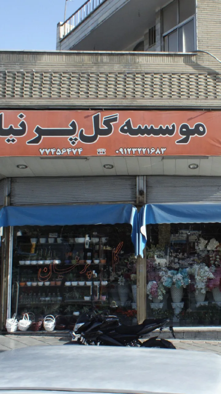 موسسه گل پرنیا