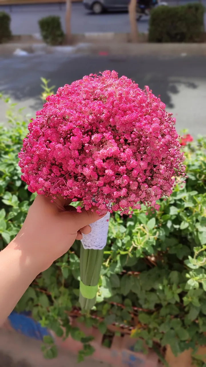 گلفروشی رزلند - تصویر 4