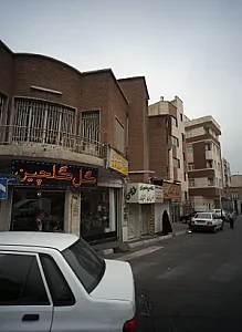 گل گلچین