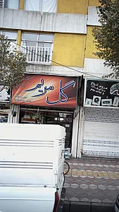 گل مریم