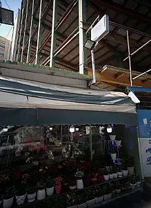 گلفروشی فرشته