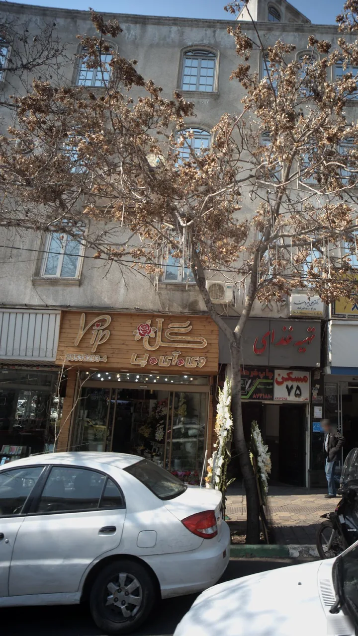 گل وی آی پی