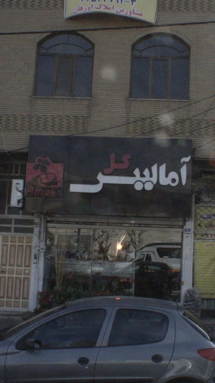 آمالیس گل