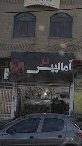 آمالیس گل