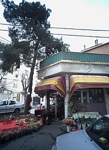 گل فروشی عروس