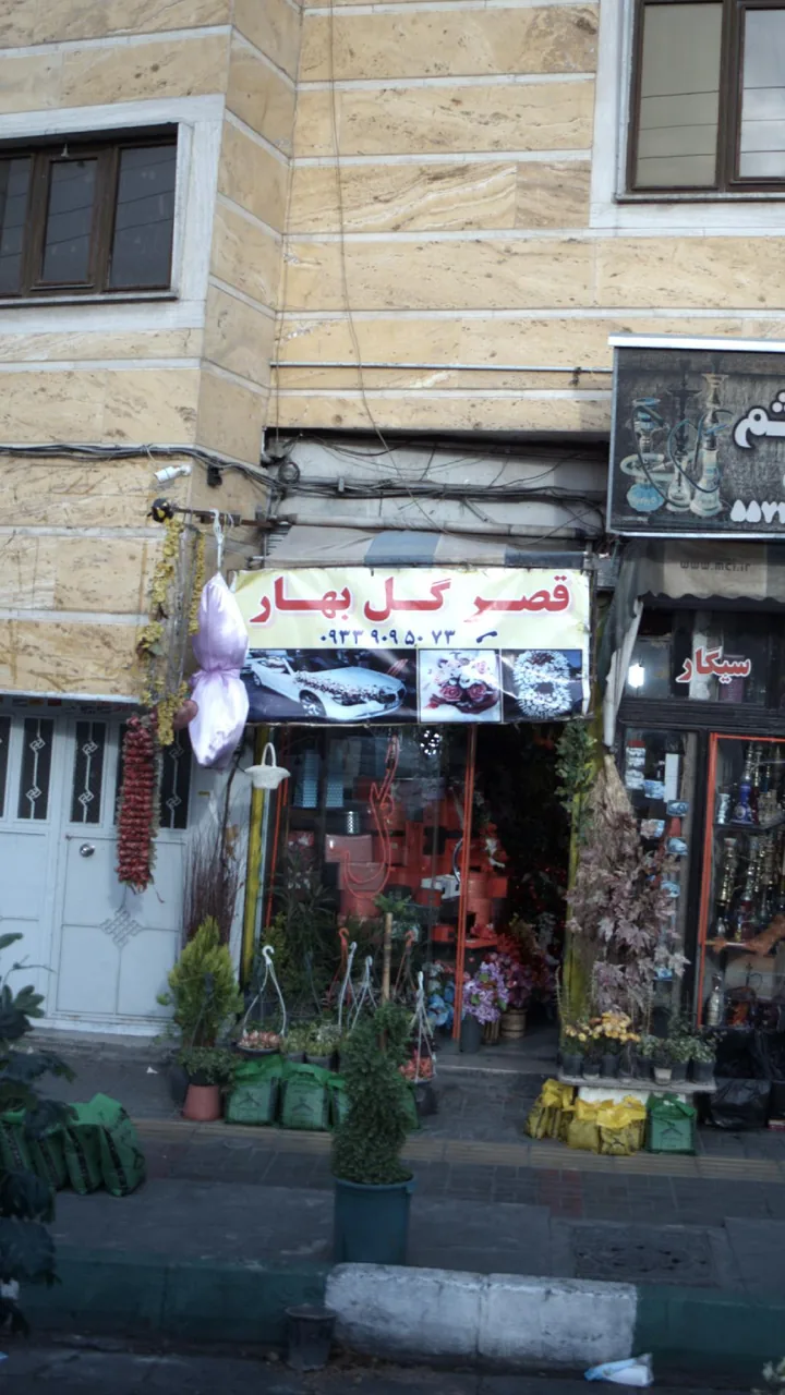 قصر گل بهار