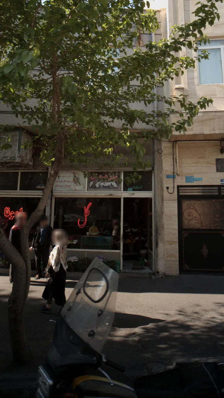 مزرعه گل رامونا