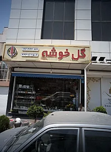 گل خوشه