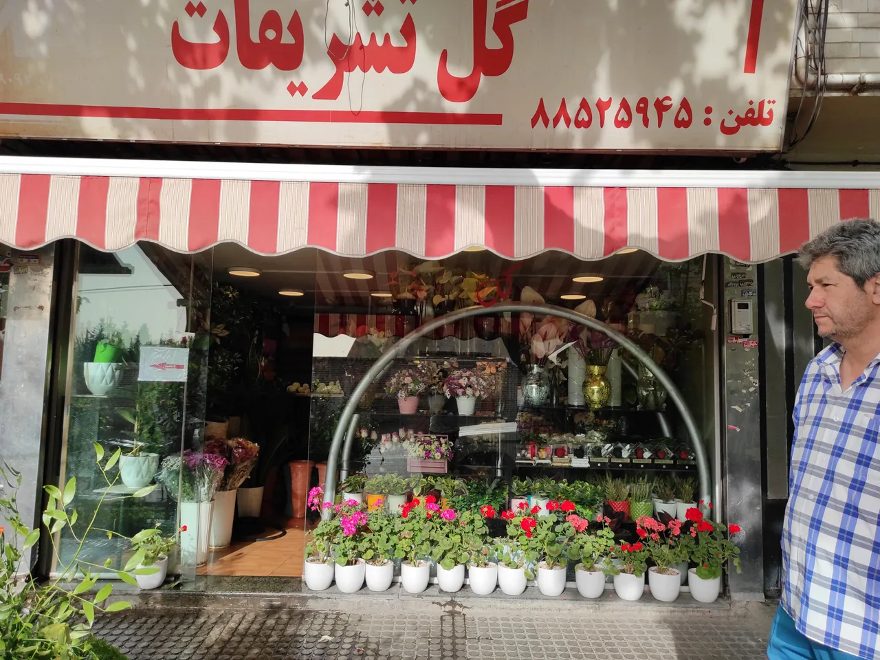 گل تشریفات فلوریست - تصویر 3
