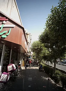 ایران گل