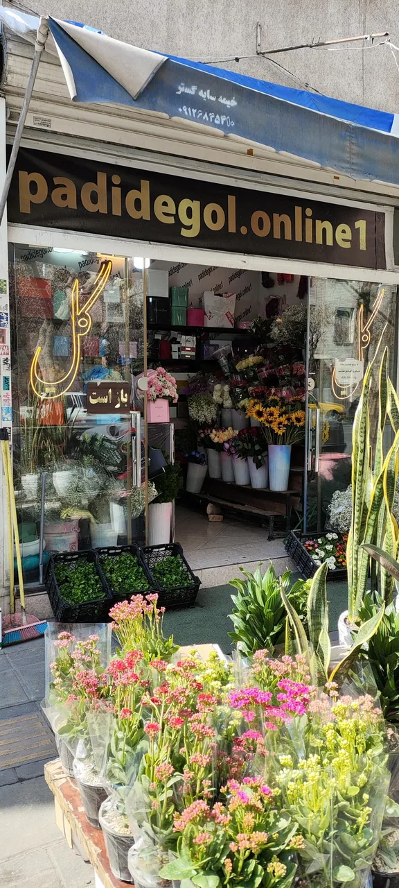 گلفروشی پدیده گل