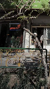 گل محمدی