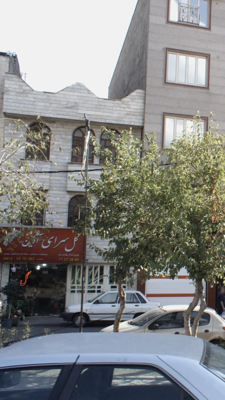 گل سرای اذین - تصویر 2