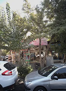 گلفروشی سویل رز