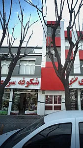 گلفروشی شکوفه سرا