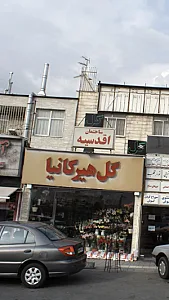 گل فروشی هیرکانیا