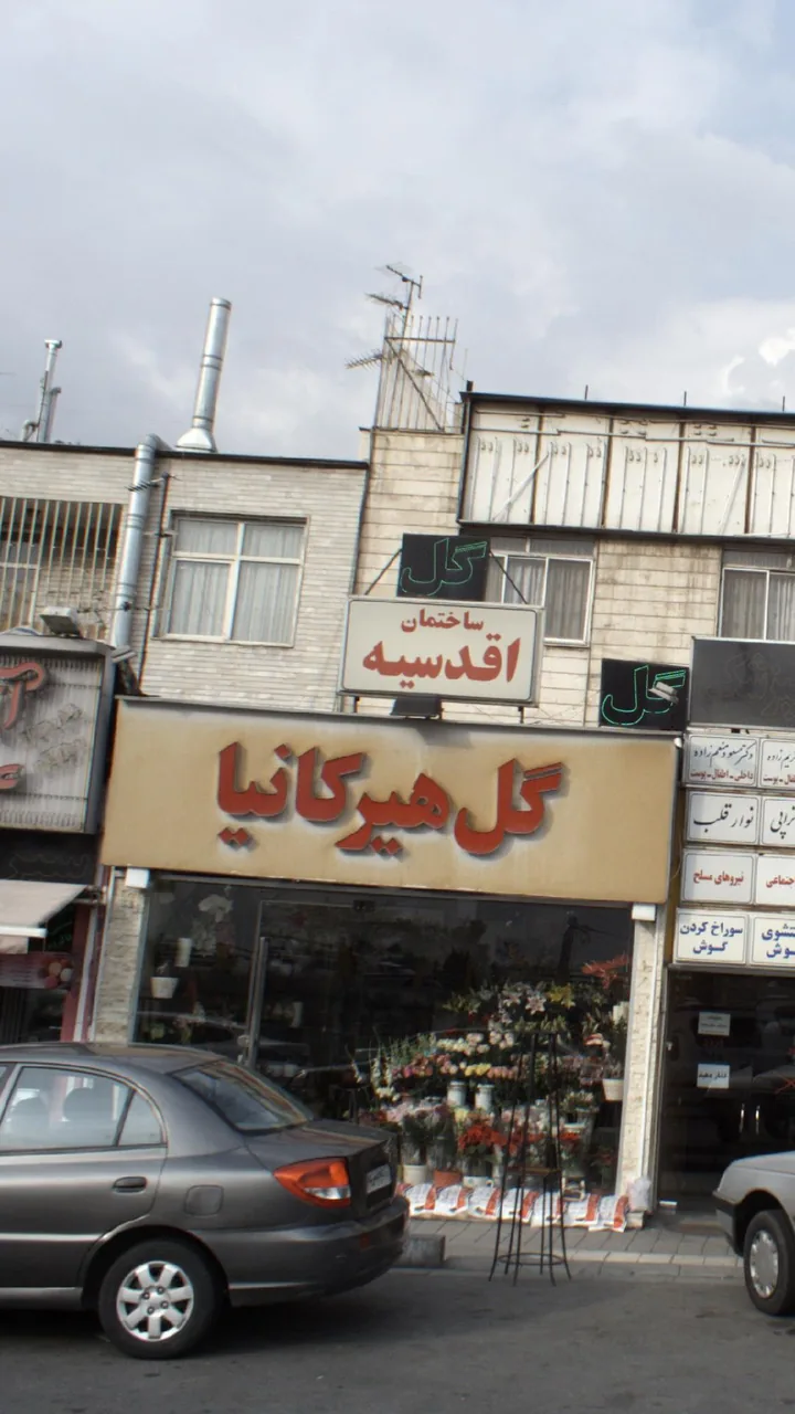 گل فروشی هیرکانیا