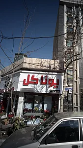 یونا گل
