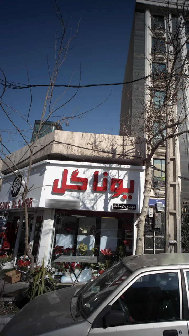یونا گل