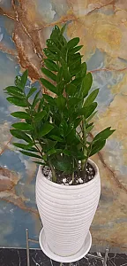 گل فروشی گل پیک
