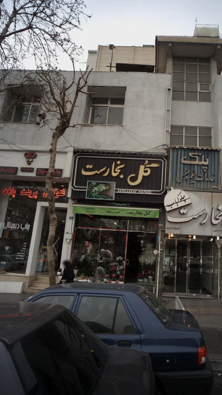 گل و چلوکبابی بخارست - تصویر 3