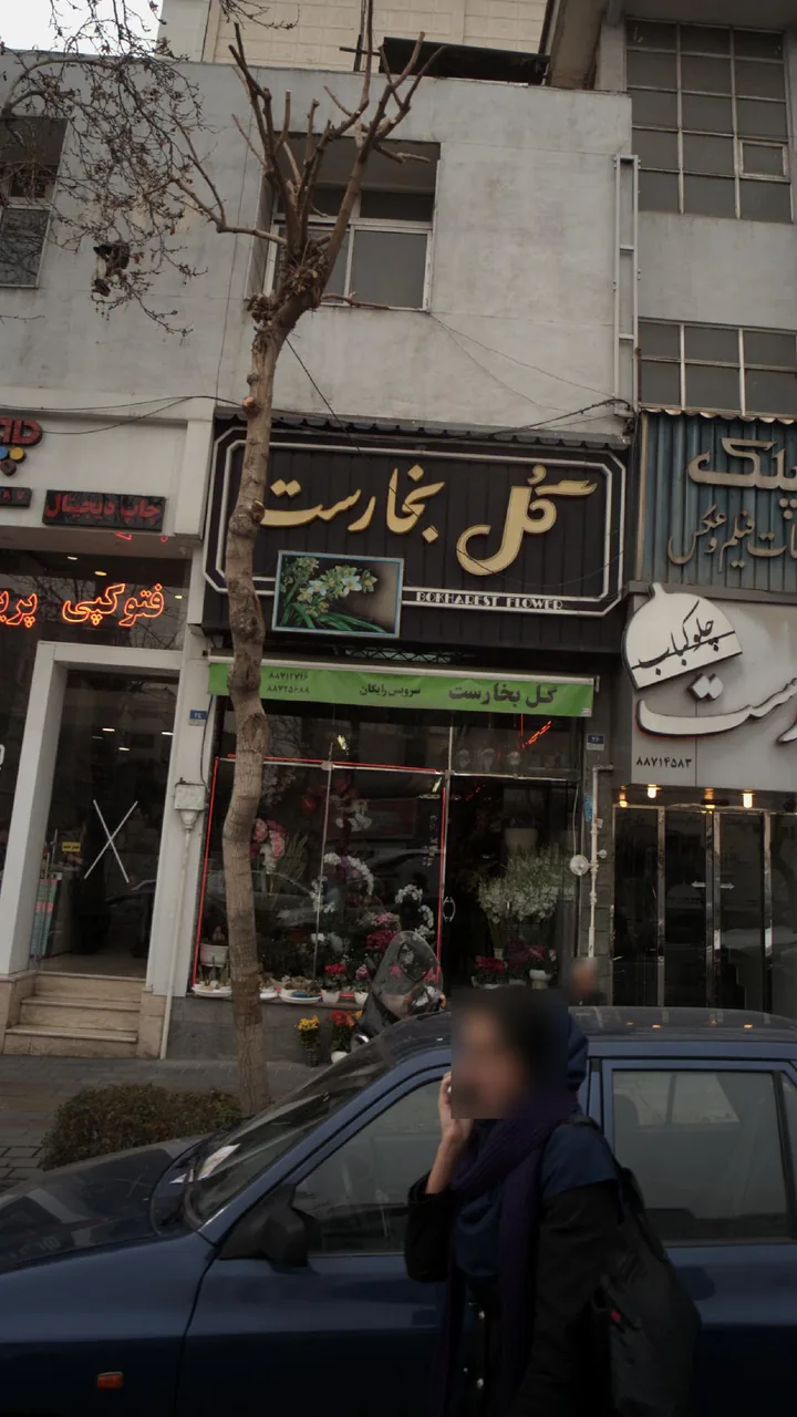 گل و چلوکبابی بخارست - تصویر 4