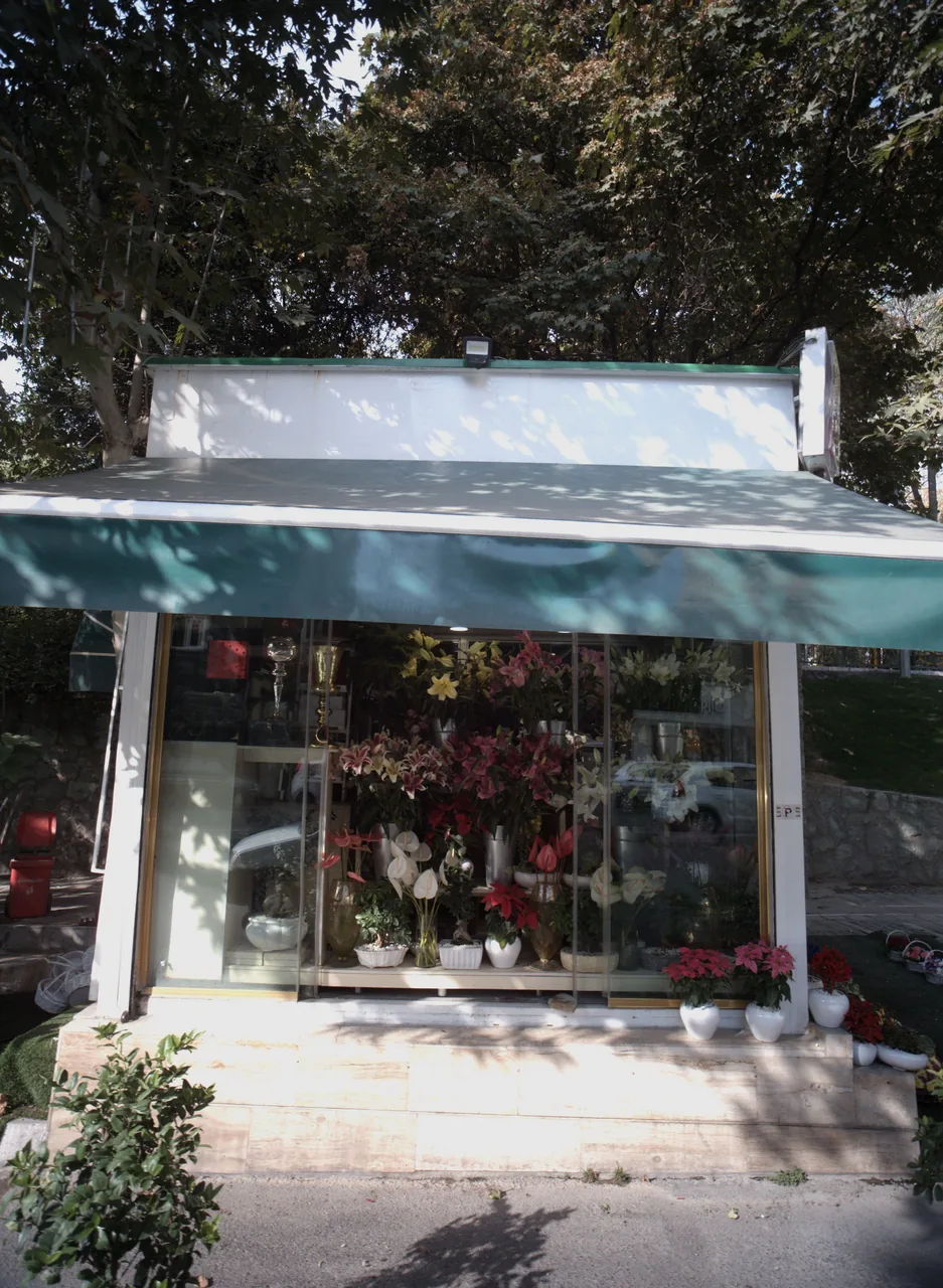 گلفروشی باهنر