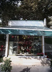 گلفروشی باهنر