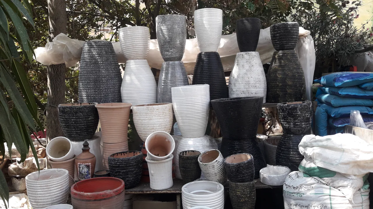گل فروشی  بهرامی