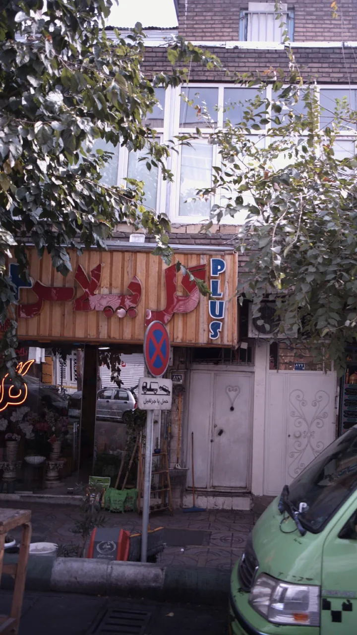 گل پلاس - تصویر 2