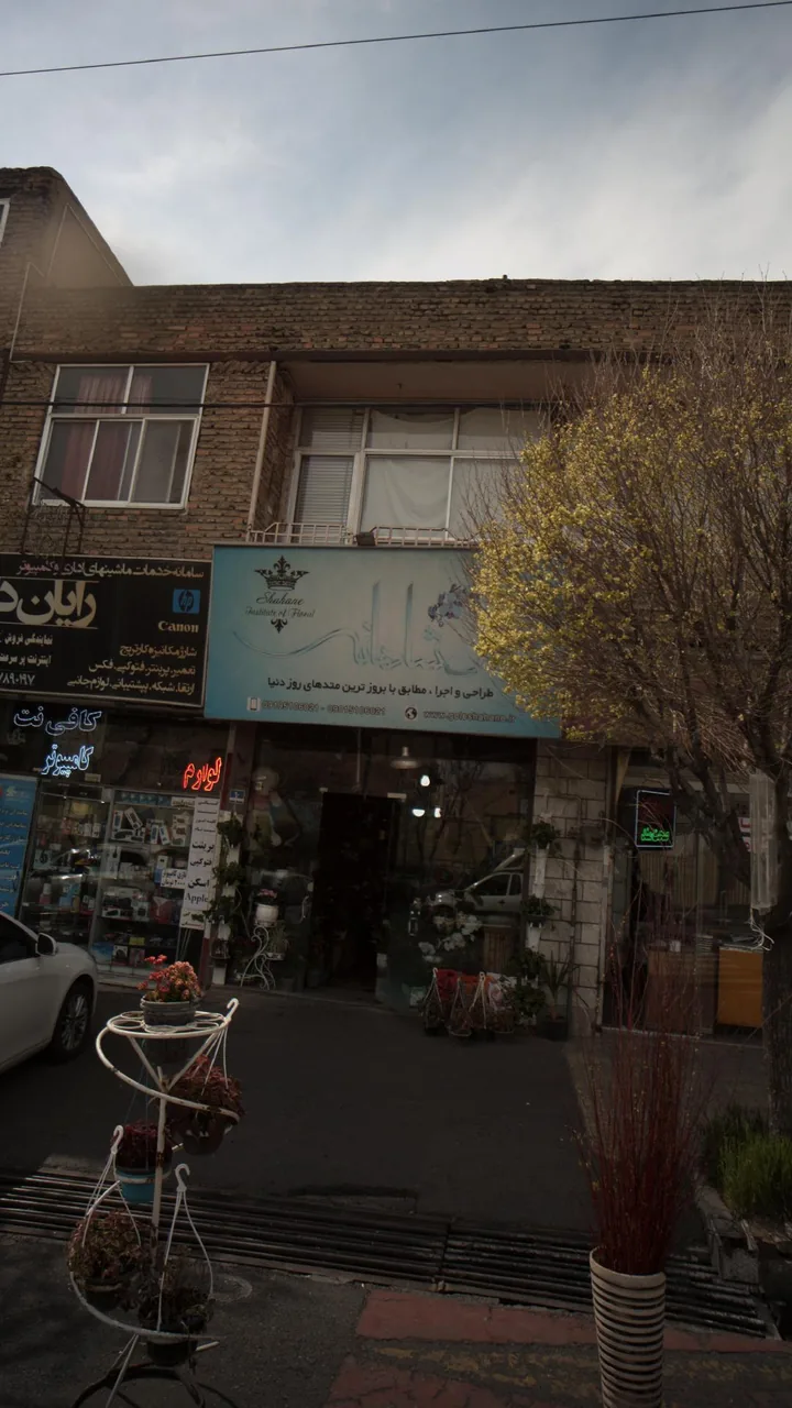 گل شاهانه - تصویر 2