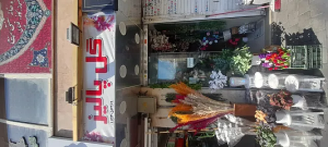 گل فروشی پالیز