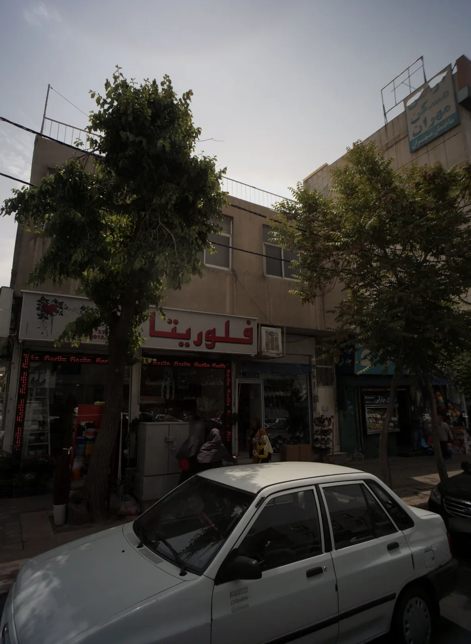گلفروشی فلوریتا