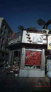 آیریس پالاس
